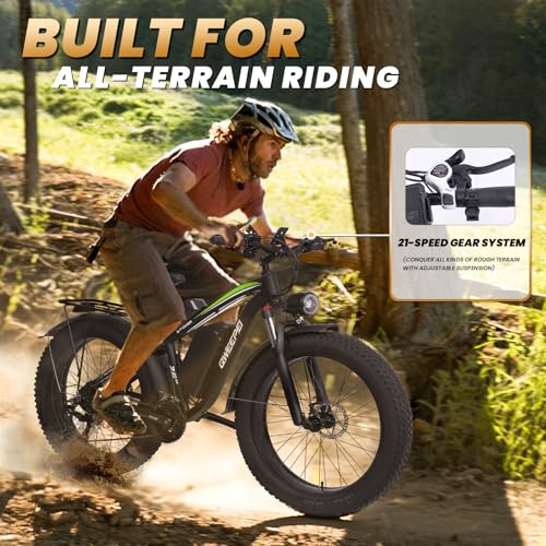 Dual Motor Electric Bike 3000W 23AH for Adults UL Certified L426