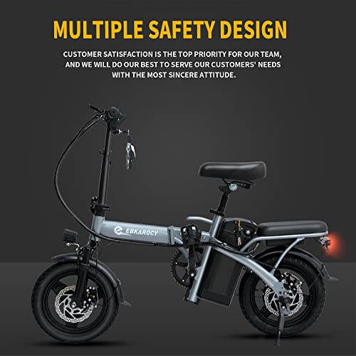 EBKAROCY Foldable Electric Bike for Adults, 400W Motor, 48V 15AH Removable Battery S109155