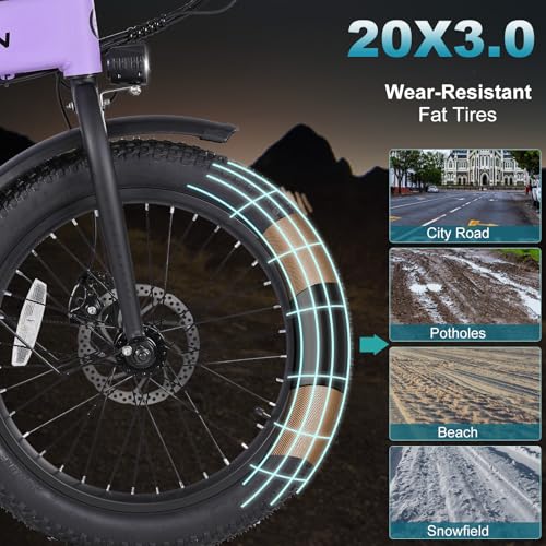 Folding Electric Bike for Adults, 20" Fat Tire, 374Wh Battery R9608