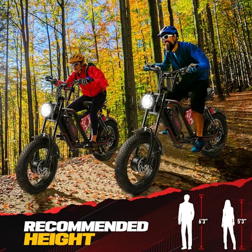 3000W Folding Electric Bike Adults 48V Fat Tire Mountain E-Bike N1470