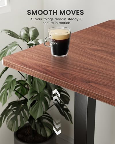 ErGear Height Adjustable Electric Standing Desk 48 x 24 Inches, Walnut S608