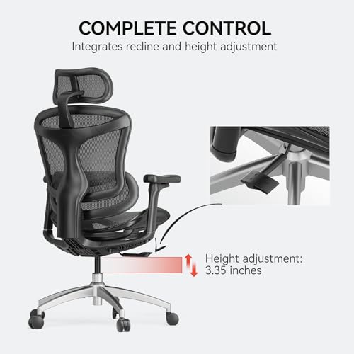 SIHOO Doro C300 Ergonomic Office Chair with 3D Armrests, Grey I3197