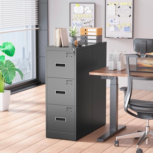 Greenvelly Lateral File Cabinet 2 Drawer, Black, Locking Metal with Hanging Bars A2725