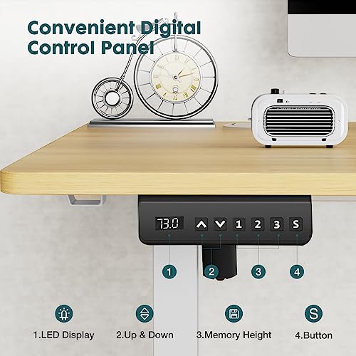 Adjustable Height Electric Standing Desk 55x24 Inch Black W5266