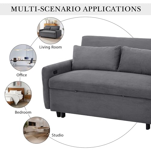 Merax Pull-Out Sofa Bed with Adjustable Backrest, 2 Seat Loveseat, USB Ports, Light Blue S417