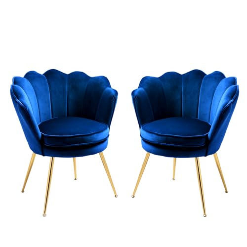 Velvet Accent Chairs Set of 2 with Golden Legs, Grey G515101
