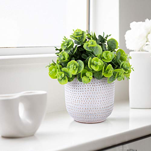 2 Pack Artificial Succulents in Ceramic Planters for Desk Decor V15398
