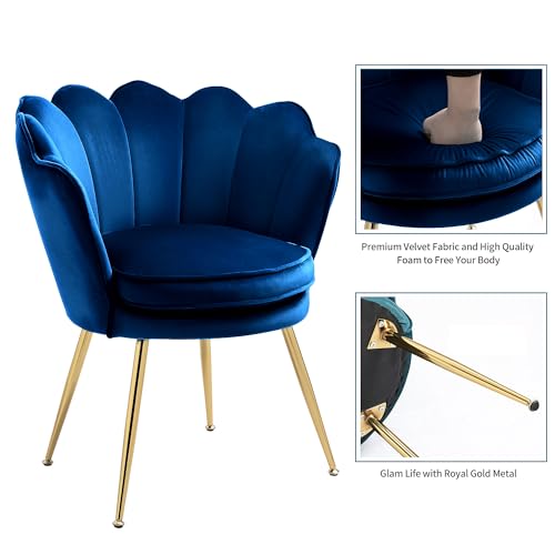 Velvet Accent Chairs Set of 2 with Golden Legs, Grey G515101