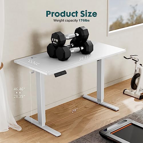 Adjustable Height Electric Standing Desk 55x24 Inch Black W5266