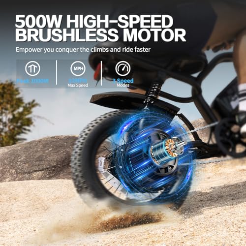 16'' Fat Tire Electric Bike for Adults, 500W, Removable Battery G58988