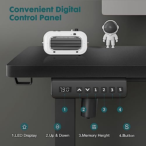 Adjustable Height Electric Standing Desk 55x24 Inch Black W5266