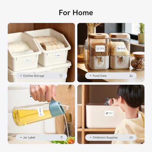 NIIMBOT B21 Label Maker, 2 Inch Portable Thermal Label Printer, White E219