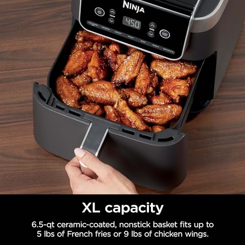Ninja Air Fryer Pro 4-in-1 5 QT, Grey W643395