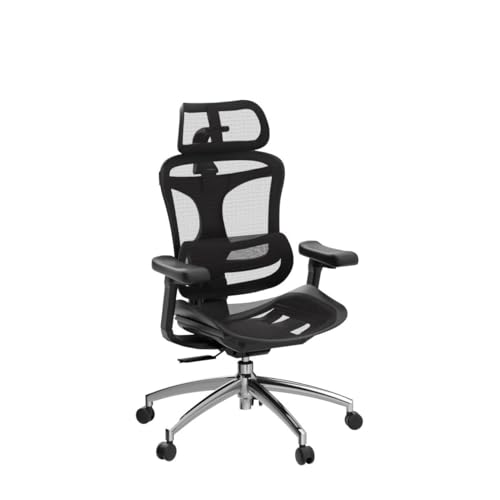 SIHOO Doro C300 Ergonomic Office Chair with 3D Armrests, Grey I3197