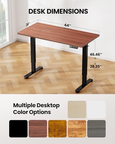 ErGear Height Adjustable Electric Standing Desk 48 x 24 Inches, Walnut S608