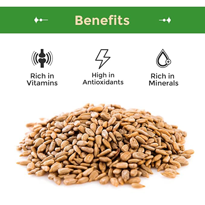 Sincerely Nuts Sunflower Seed Kernels Raw No Shell 1lb Bag Vegan Gluten Free A941