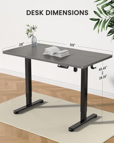 ErGear Height Adjustable Electric Standing Desk 48 x 24 Inches, Walnut S608