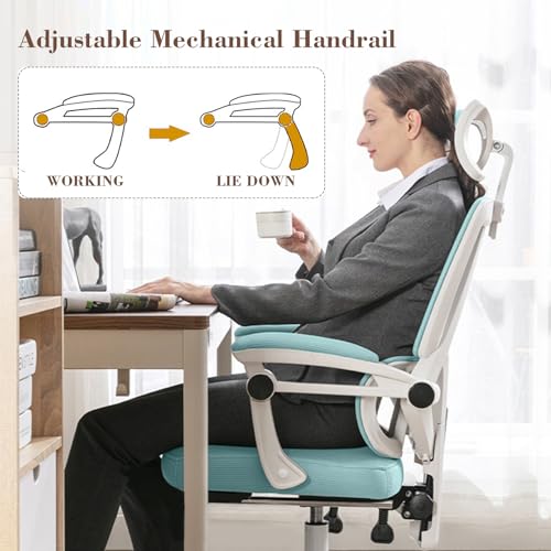 Ergonomic High Back Mesh Office Chair with Lumbar Support C196
