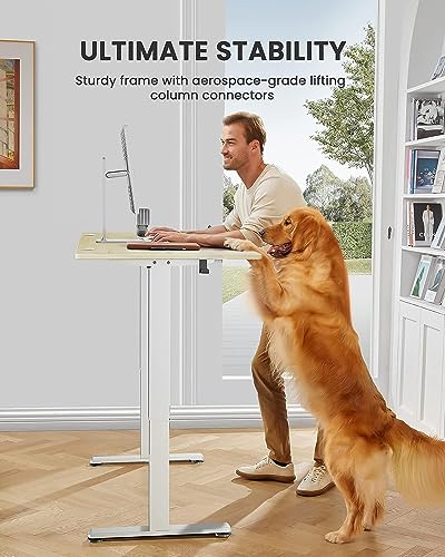 ErGear Height Adjustable Electric Standing Desk 48 x 24 Inches, Walnut S608