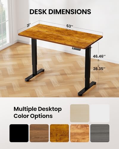 ErGear Height Adjustable Electric Standing Desk 48 x 24 Inches, Walnut S608