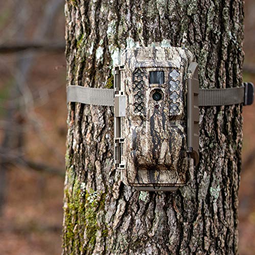 Moultrie Mobile 7000i Cellular Trail Camera P18417