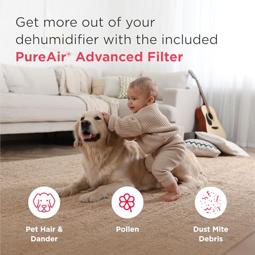 Frigidaire 50-Pint Portable Dehumidifier with Wi-Fi for Medium/Large Rooms, White Q334986
