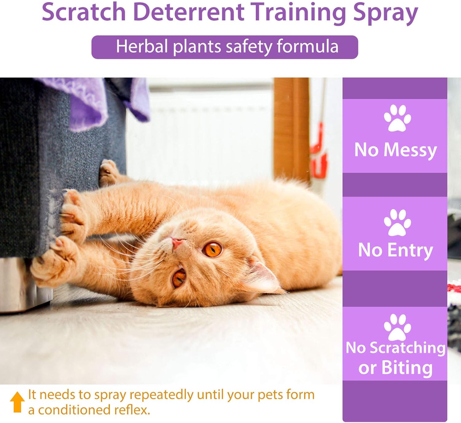 Cat Deterrent Spray, Natural Indoor & Outdoor Repellent for Pets L7893