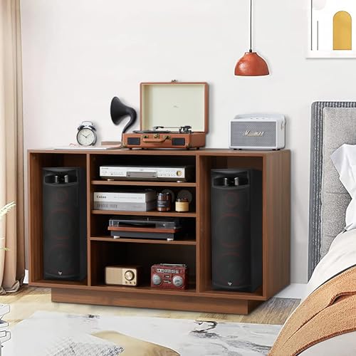 Stereo Cabinet with 5-Tier Shelves for Media Storage, Black T6960