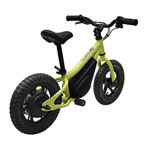 Massimo Motor Electric Bike for Kids 150W, Age 3+, 100lbs Capacity D8504