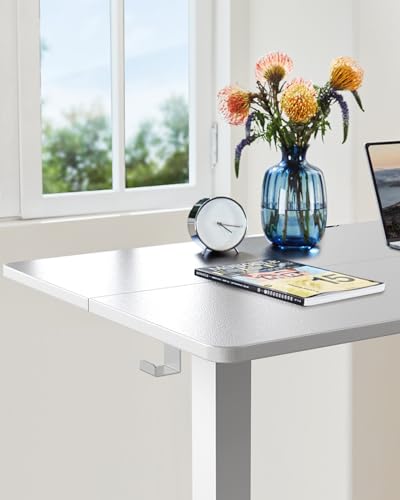 ErGear Height Adjustable Electric Standing Desk 48 x 24 Inches, Walnut S608