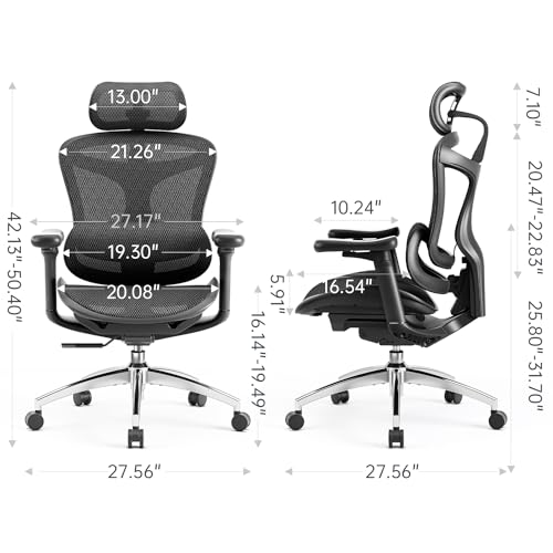 SIHOO Doro C300 Ergonomic Office Chair with 3D Armrests, Grey I3197