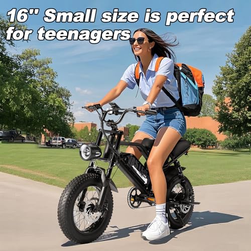 16'' Fat Tire Electric Bike for Adults, 500W, Removable Battery G58988