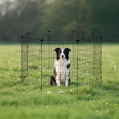 Amazon Basics Foldable Octagonal Metal Dog Playpen, Extra Large, Black G18040