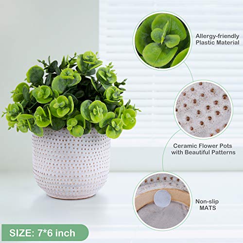 2 Pack Artificial Succulents in Ceramic Planters for Desk Decor V15398