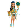 Monster High Scary Sweet Birthday Doll Frankie Stein with Accessories Y947069