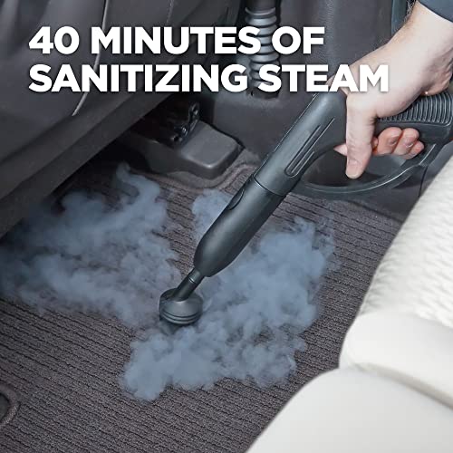 Wagner Spraytech 915e On-Demand Steam Cleaner & Wallpaper Removal, 18 Attachments D4490
