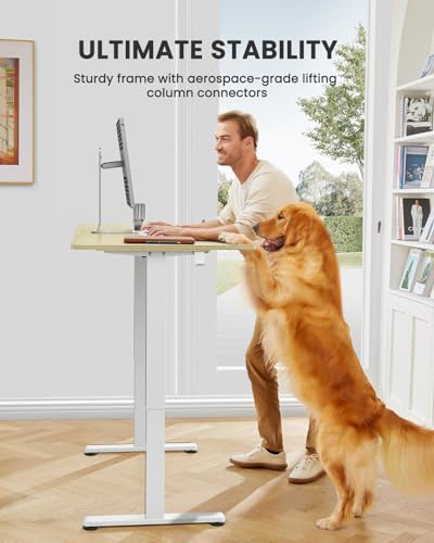 ErGear Height Adjustable Electric Standing Desk 48 x 24 Inches, Walnut S608