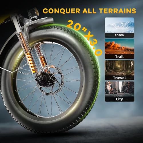 1000W Folding Electric Bike 48V Removable Battery 20" Fat Tire for Adults M922