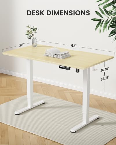 ErGear Height Adjustable Electric Standing Desk 48 x 24 Inches, Walnut S608