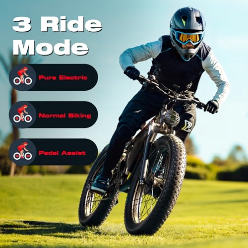 3000W Dual Motors Electric Bike for Adults, 52V 25Ah 26" Fat Tire Full Suspension L397237