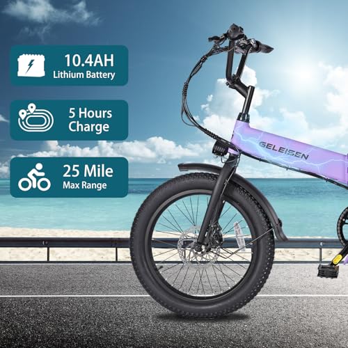 Folding Electric Bike for Adults, 20" Fat Tire, 374Wh Battery R9608