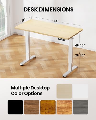 ErGear Height Adjustable Electric Standing Desk 48 x 24 Inches, Walnut S608