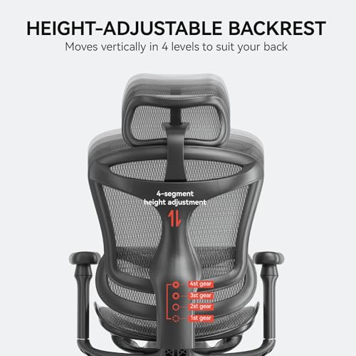 SIHOO Doro C300 Ergonomic Office Chair with 3D Armrests, Grey I3197