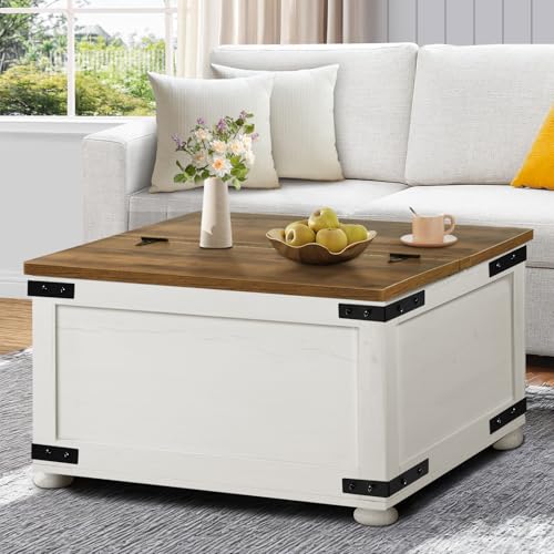 Farmhouse Lift Top Coffee Table with Hidden Storage, Black X163414