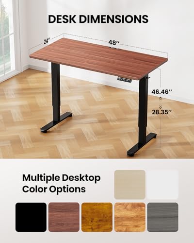 ErGear Height Adjustable Electric Standing Desk 48 x 24 Inches, Walnut S608
