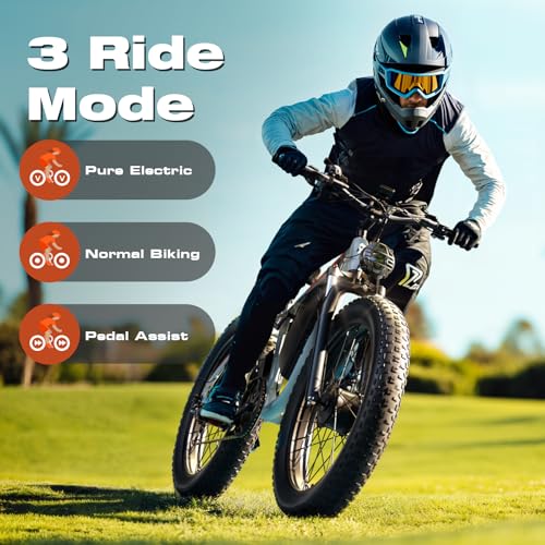 3000W Dual Motors Electric Bike for Adults, 52V 25Ah 26" Fat Tire Full Suspension L397237