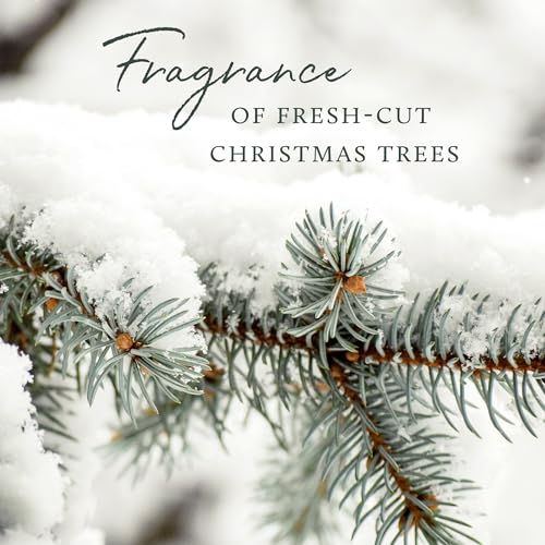 Thymes Frasier Fir Candle – Frosted Plaid Jar – Scented Holiday Candle (6.5 oz) D710