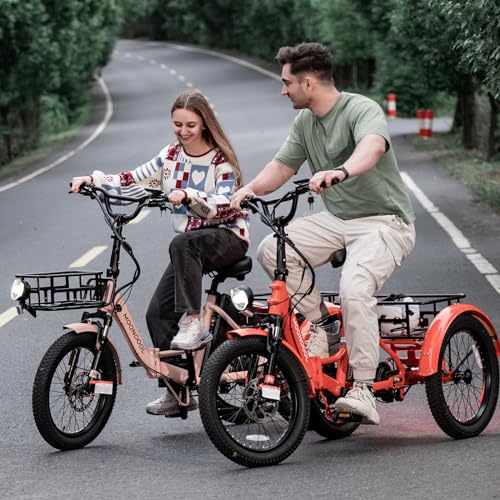 LILYPELLE 500W Folding Electric Tricycle for Adults with Large Basket P963646