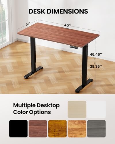 ErGear Height Adjustable Electric Standing Desk 48 x 24 Inches, Walnut S608