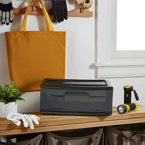 HOMZ 2-Pack 1-Drawer Storage Cart, Clear Plastic, White Frame Y898